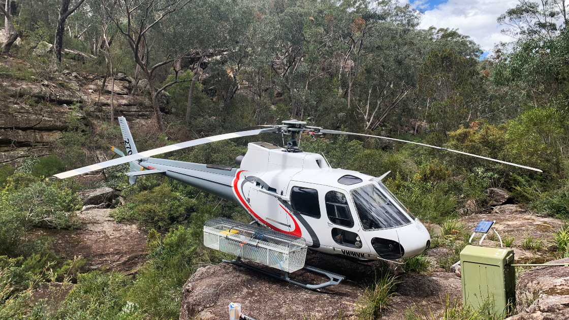 Where you have seen Sydney Helicopters