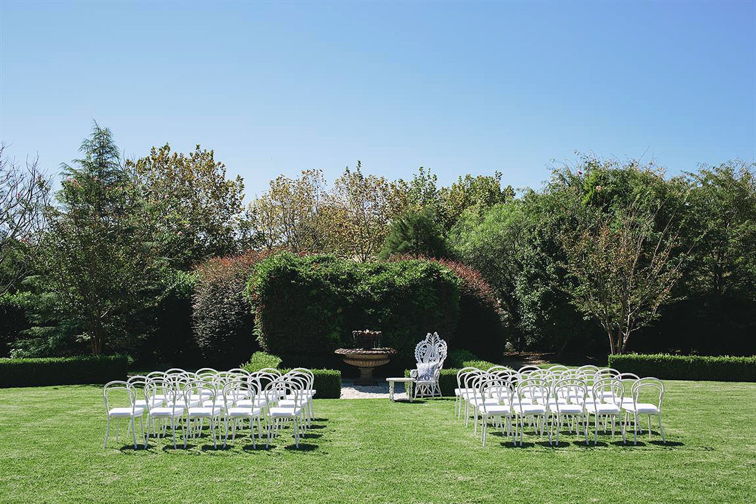 Wedding Carousel (2)