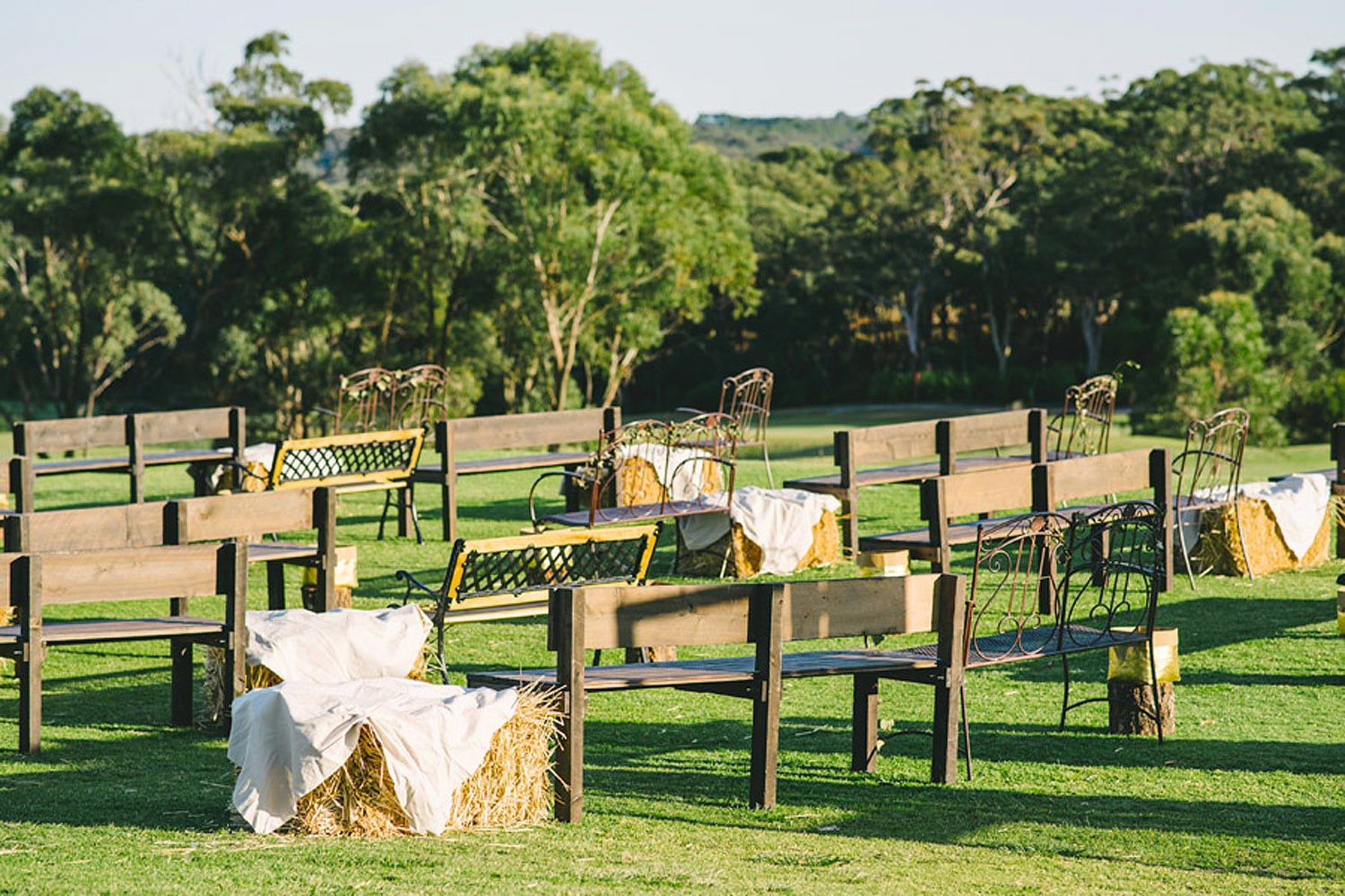 Wedding Carousel (5)